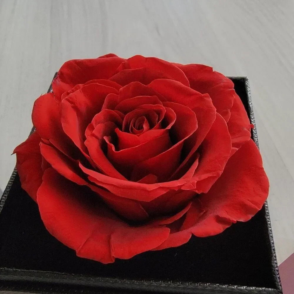 Rose Flower Jewelry Box for Valentine's Day Gifts Box says I Love You Forever